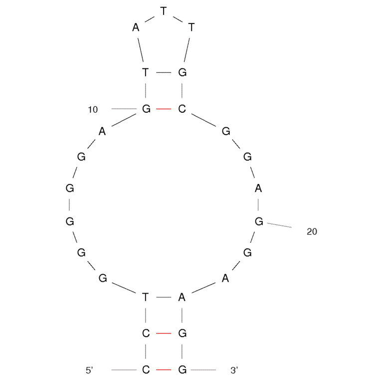 Secondary Structure - Anti-Adenosine + ATP Aptamer [DH25.42] (Biotin) (A320832) - Antibodies.com