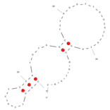Secondary Structure - Anti-RNase H1 Aptamer [VI-2] (Biotin) (A320834) - Antibodies.com
