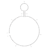 Secondary Structure - Anti-Staphylococcus aureus Aptamer [SA23] (Biotin) (A320841) - Antibodies.com