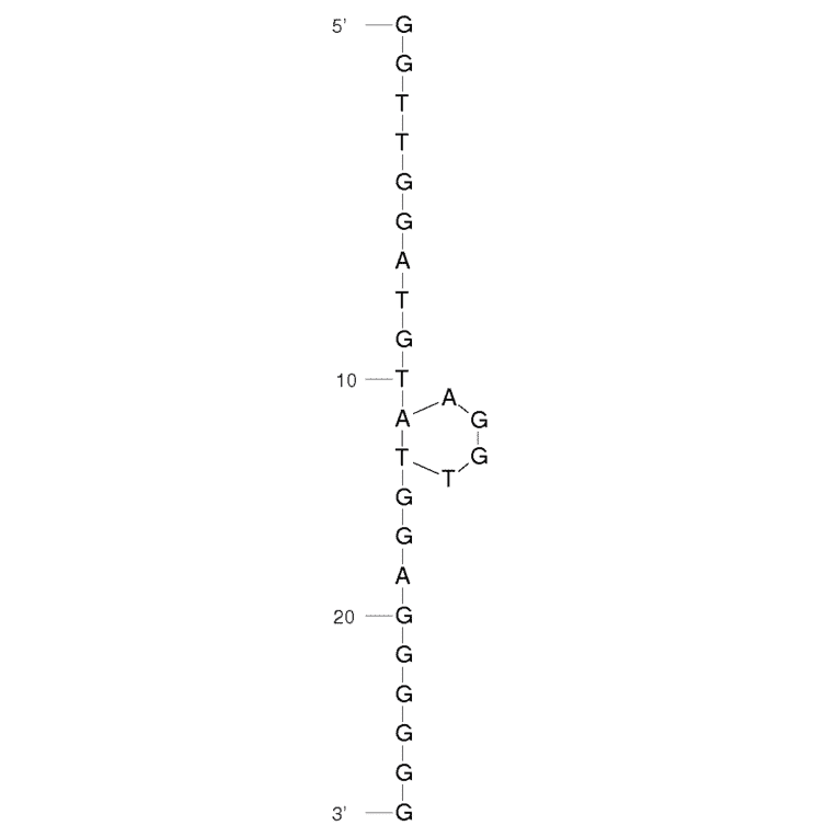 Secondary Structure - Anti-PC12 Cells Aptamer [Aptamer 17a] (Biotin) (A320853) - Antibodies.com