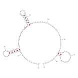 Secondary Structure - Anti-Non-Small Cell Lung Cancer Aptamer [S6] (Biotin) (A320856) - Antibodies.com