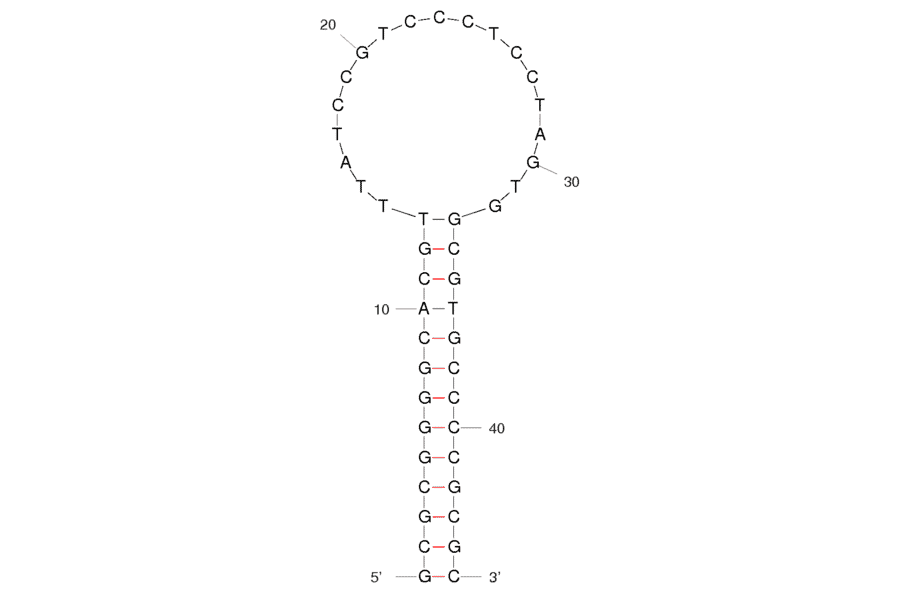 Secondary Structure - Anti-Human IgE Aptamer (Biotin) (A320860) - Antibodies.com