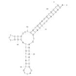 Secondary Structure - Anti-LH86 Hepatocellular Carcinoma Cells Aptamer [TLS11a] (Biotin) (A320864) - Antibodies.com