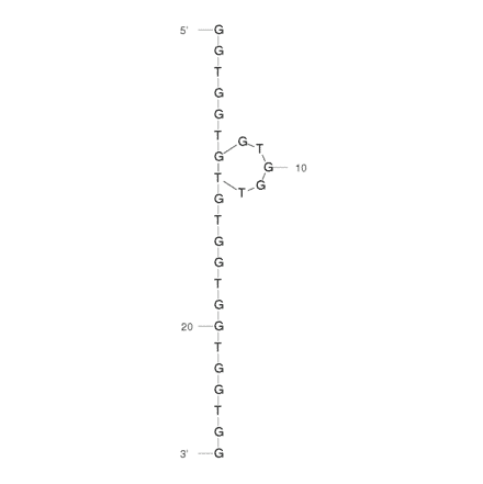 Secondary Structure - Anti-Nucleolin Aptamer [AS1411] (Biotin) (A320865) - Antibodies.com