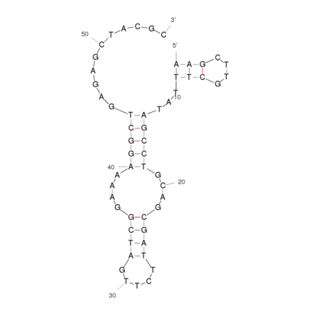 Secondary Structure - Anti-Phorate Aptamer [SS2-55] (Biotin) (A320866) - Antibodies.com