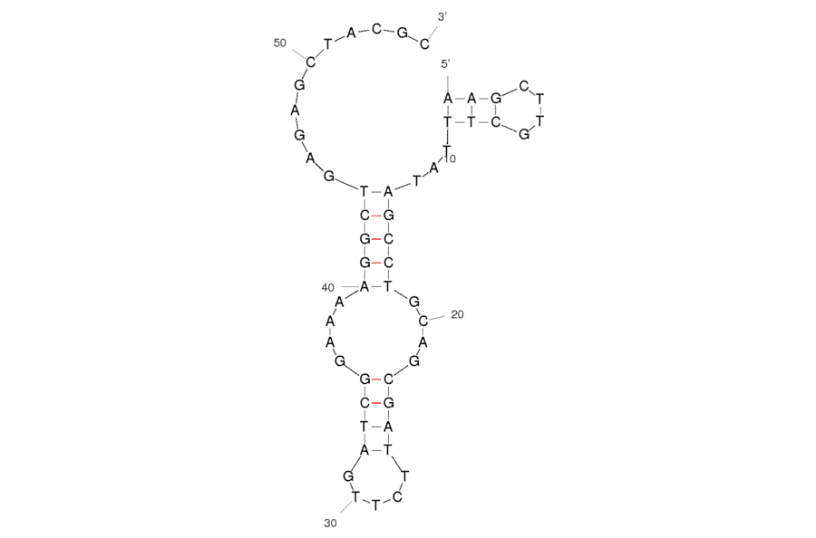 Secondary Structure - Anti-Profenofos Aptamer [SS2-55] (Biotin) (A320867) - Antibodies.com