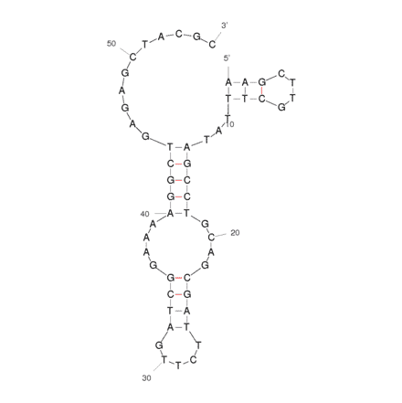 Secondary Structure - Anti-Profenofos Aptamer [SS2-55] (Biotin) (A320867) - Antibodies.com