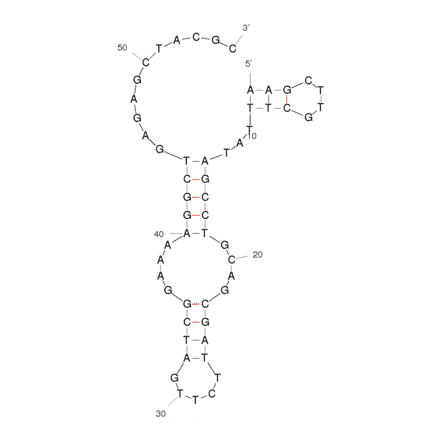 Secondary Structure - Anti-Omethoate Aptamer [SS2-55] (Biotin) (A320869) - Antibodies.com