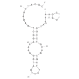 Secondary Structure - Anti-Omethoate Aptamer [SS2-55] (Biotin) (A320869) - Antibodies.com