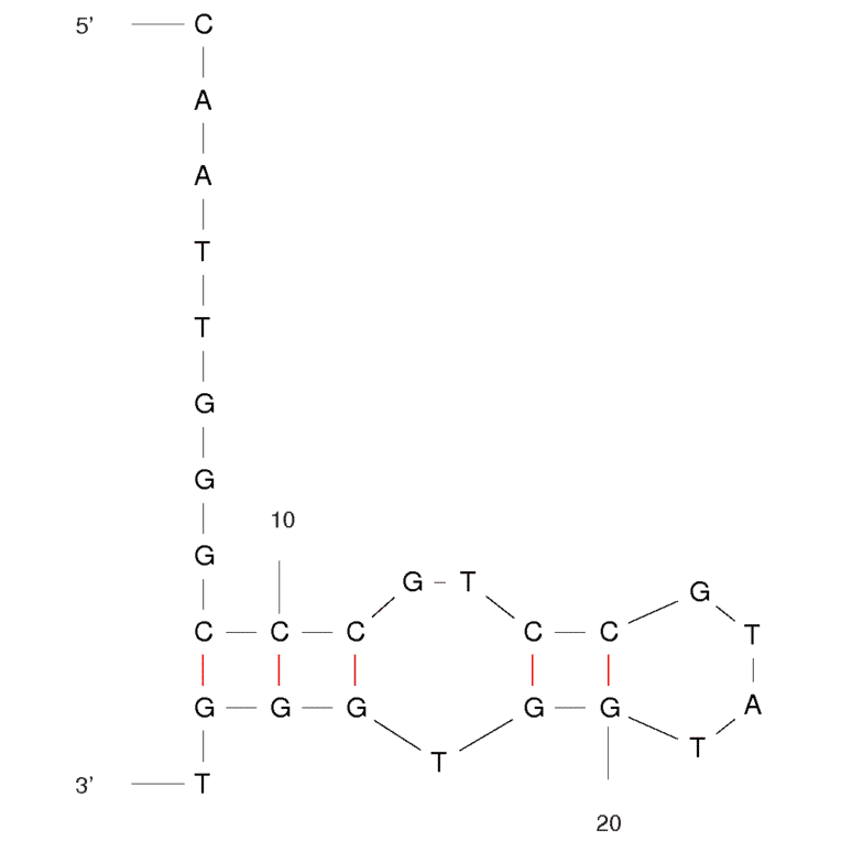 Secondary Structure - Anti-VEGF 165 Aptamer [SL2-B] (Biotin) (A320877) - Antibodies.com
