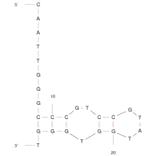 Secondary Structure - Anti-VEGF 165 Aptamer [SL2-B] (Biotin) (A320877) - Antibodies.com