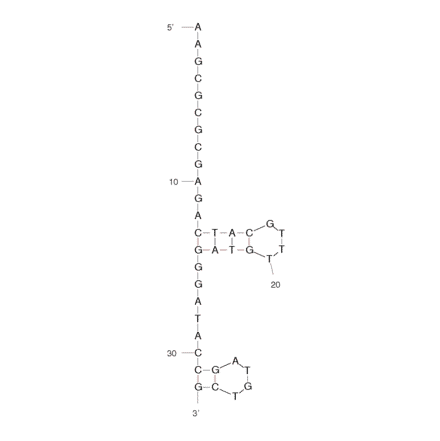 Secondary Structure - Anti-3,3,4,4-tetrachlorobiphenyl Aptamer (Biotin) (A320878) - Antibodies.com