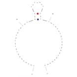 Secondary Structure - Anti-FLAG Tag Aptamer (Biotin) (A320894) - Antibodies.com