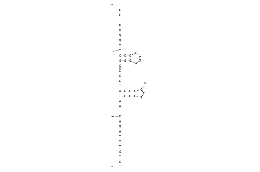 Secondary Structure - Anti-Histone H4 N-Terminus Aptamer [4.33] (Biotin) (A320897) - Antibodies.com