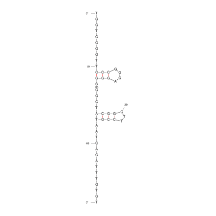 Secondary Structure - Anti-Histone H4 N-Terminus Aptamer [4.33] (Biotin) (A320897) - Antibodies.com