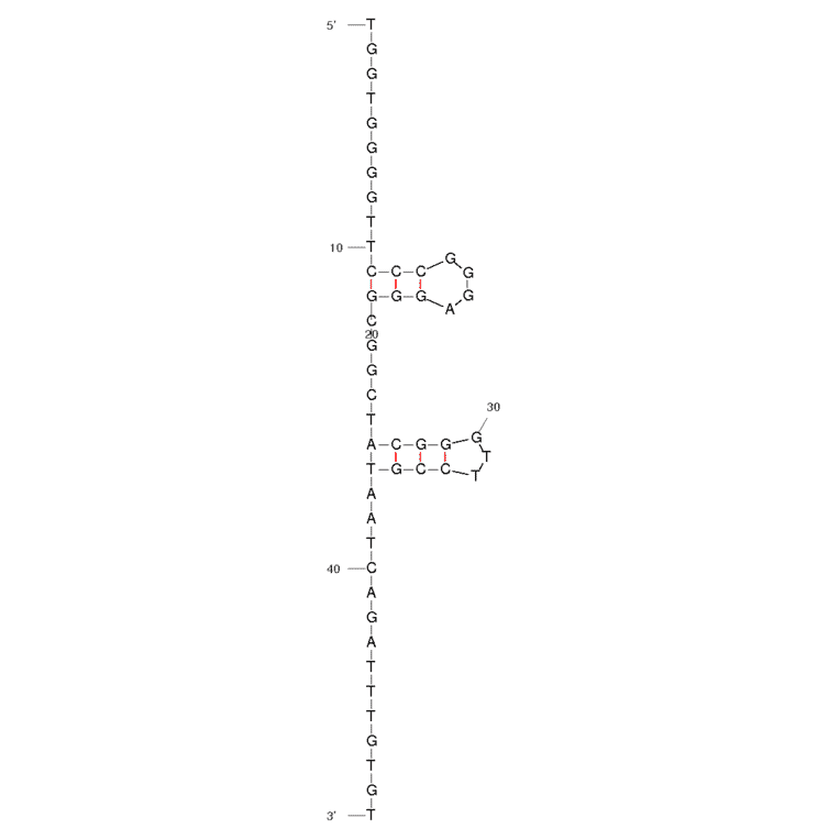 Secondary Structure - Anti-Histone H4 N-Terminus Aptamer [4.33] (Biotin) (A320897) - Antibodies.com