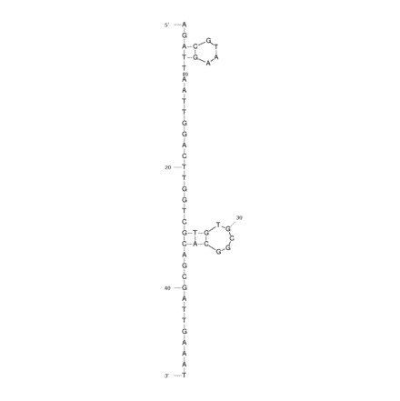 Secondary Structure - Anti-Histone H4 (acetyl K16) Aptamer (Biotin) (A320898) - Antibodies.com