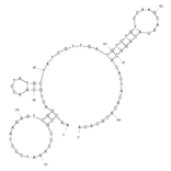 Secondary Structure - Anti-MUC1 Aptamer [MA3] (Biotin) (A320899) - Antibodies.com