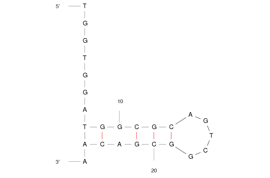 Secondary Structure - Anti-TNF alpha Aptamer [TNFa] (Biotin) (A320906) - Antibodies.com