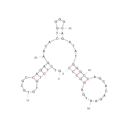 Secondary Structure - Anti-Dopamine Aptamer (Biotin) (A320911) - Antibodies.com