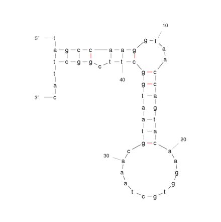 Secondary Structure - Anti-L-Selectin + Sialyl-Lewis X Complex Aptamer [LD201t1] (Biotin) (A320914) - Antibodies.com