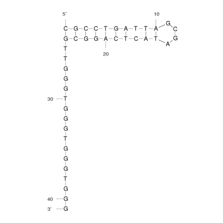 Secondary Structure - Anti-HIV1 Reverse Transcriptase Aptamer [R1T] (Biotin) (A320919) - Antibodies.com