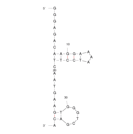 Secondary Structure - Anti-Cocaine Aptamer [MNS-4.1] (Biotin) (A320920) - Antibodies.com