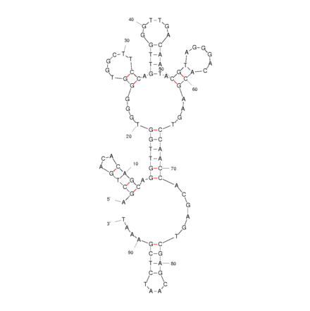 Secondary Structure - Anti-Lupin 1 Allergen Beta Conglutin Aptamer [#40] (Biotin) (A320921) - Antibodies.com