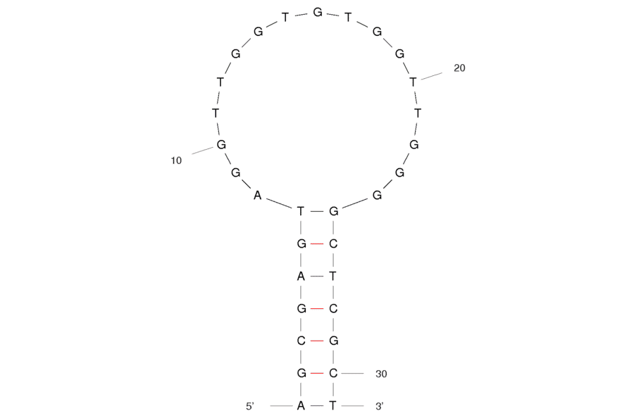 Secondary Structure - Anti-Thrombin Aptamer [D2-5] (Biotin) (A320923) - Antibodies.com