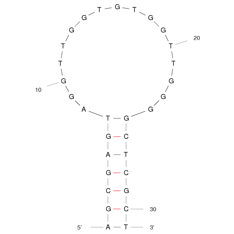 Secondary Structure - Anti-Thrombin Aptamer [D2-5] (Biotin) (A320923) - Antibodies.com