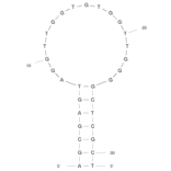 Secondary Structure - Anti-Thrombin Aptamer [D2-5] (Biotin) (A320923) - Antibodies.com