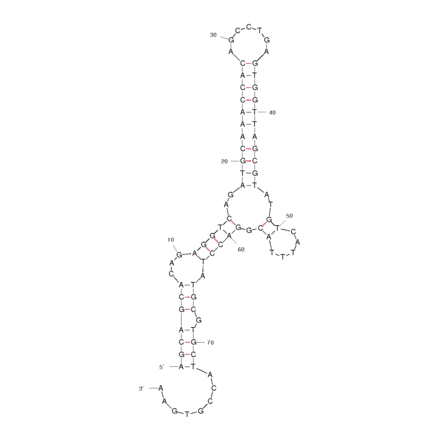 Secondary Structure - Anti-Neuropeptide Y / NPY Aptamer [Clone 4.31] (Biotin) (A320927) - Antibodies.com