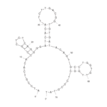 Secondary Structure - Anti-Acetylcholine Aptamer [ACh 6R] (Biotin) (A320928) - Antibodies.com