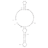 Secondary Structure - Anti-Transferrin Receptor Aptamer [GS24] (Biotin) (A320932) - Antibodies.com