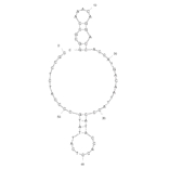 Secondary Structure - Anti-Microcystin-LR Aptamer [AN6] (Biotin) (A320939) - Antibodies.com