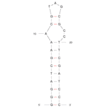 Secondary Structure - Anti-L-Arginine Aptamer [12-28 hairpin] (Biotin) (A320945) - Antibodies.com
