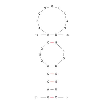 Secondary Structure - Anti-L-Arginine Aptamer [12-79] (Biotin) (A320946) - Antibodies.com