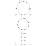 Secondary Structure - Anti-L-Arginine Aptamer [12-79] (Biotin) (A320946) - Antibodies.com