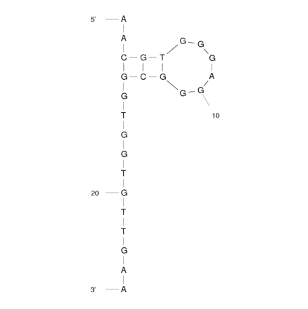 Secondary Structure - Anti-N-methylmesoporphyrin IX (NMM) + mesoporphyrin IX (MPIX) + metalloderivatives Aptamer [ST1] (Biotin) (A320947) - Antibodies.com