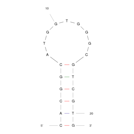 Secondary Structure - Anti-Ampicillin Aptamer [AMP4] (Biotin) (A320950) - Antibodies.com