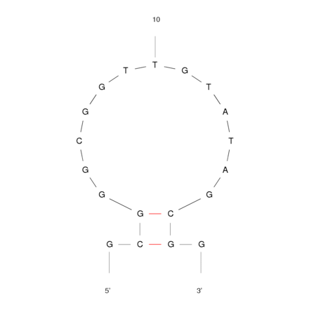 Secondary Structure - Anti-Ampicillin Aptamer [AMP17] (Biotin) (A320951) - Antibodies.com