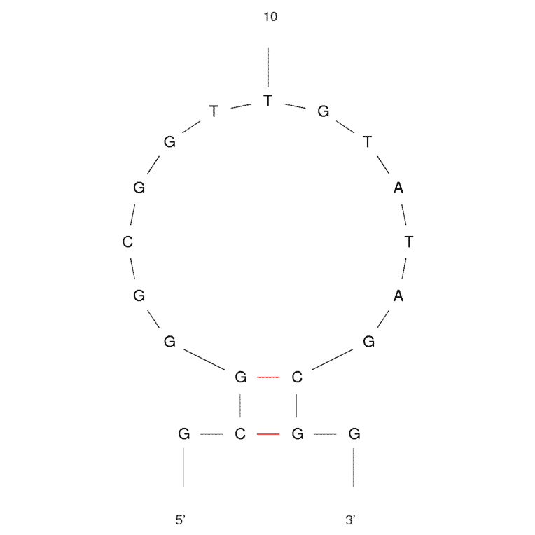 Secondary Structure - Anti-Ampicillin Aptamer [AMP17] (Biotin) (A320951) - Antibodies.com