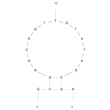 Secondary Structure - Anti-Ampicillin Aptamer [AMP17] (Biotin) (A320951) - Antibodies.com