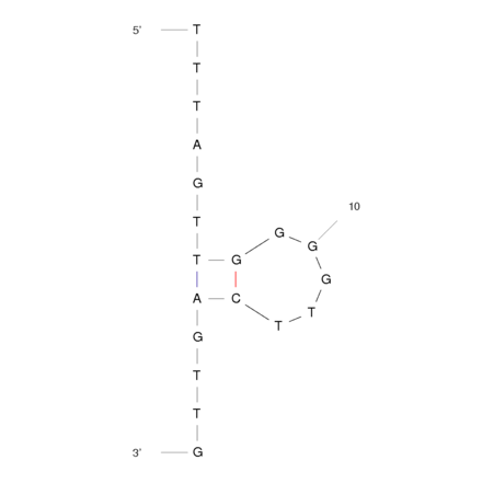 Secondary Structure - Anti-Ampicillin Aptamer [AMP18] (Biotin) (A320952) - Antibodies.com