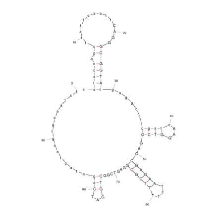 Secondary Structure - Anti-Kanamycin A Aptamer [#13_82] (Biotin) (A320959) - Antibodies.com