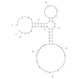 Secondary Structure - Anti-Leptin Aptamer [Lep3] (Biotin) (A320961) - Antibodies.com