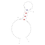 Secondary Structure - Anti-c-Kit Aptamer [Kit-129] (Biotin) (A320962) - Antibodies.com