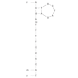 Secondary Structure - Anti-Aflatoxin M1 Aptamer (Biotin) (A320963) - Antibodies.com