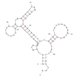 Secondary Structure - Anti-Staphylococcus aureus Aptamer [SA20] (Biotin) (A320965) - Antibodies.com