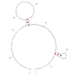 Secondary Structure - Anti-EGFR VIII Aptamer [U2] (Biotin) (A320975) - Antibodies.com